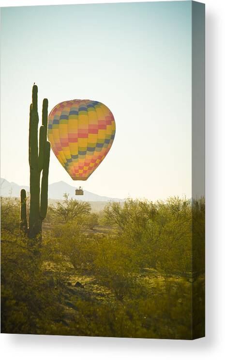 Arizona Canvas Print featuring the photograph Hot Air Balloon over the Arizona Desert With Giant Saguaro by James BO Insogna