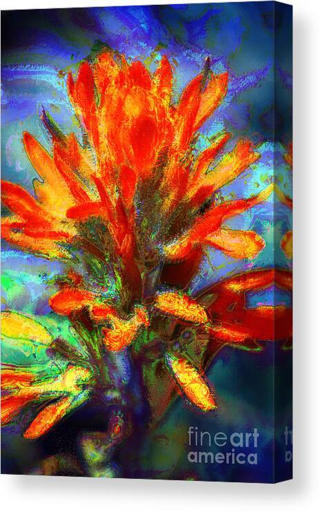 Flowers Canvas Print featuring the photograph Indian Paintbrush by Julie Lueders 