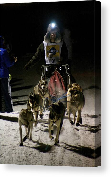 International Pedigree Stage Stop Sled Dog Race Canvas Print featuring the photograph International Pedigree Stage Stop Sled Dog Race Jackson Hole WY by Benjamin Dahl