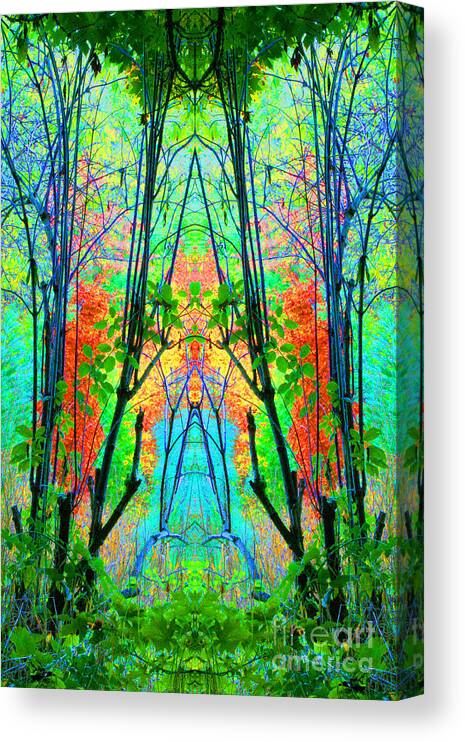 Forest Canvas Print featuring the photograph Into the Forest by Margaret Hood