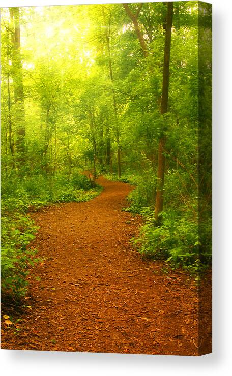 Calming Canvas Print featuring the photograph Inviting Trail by Cindy Haggerty