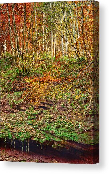 Landscape Canvas Print featuring the photograph Kordel by Maciej Markiewicz