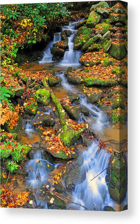 Waterfall Canvas Print featuring the photograph Leaf Falls by Alan Lenk