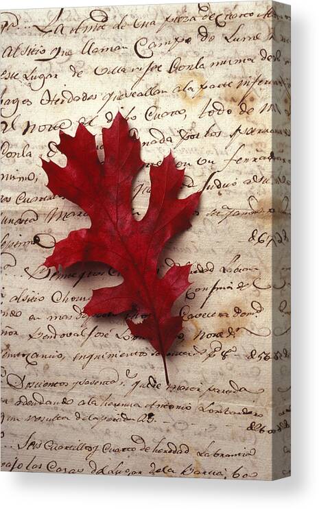 Leaf Canvas Print featuring the photograph Leaf on letter by Garry Gay