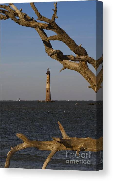 Morris Island Canvas Print featuring the photograph Lighthouse through Driftwood by Tim Mulina