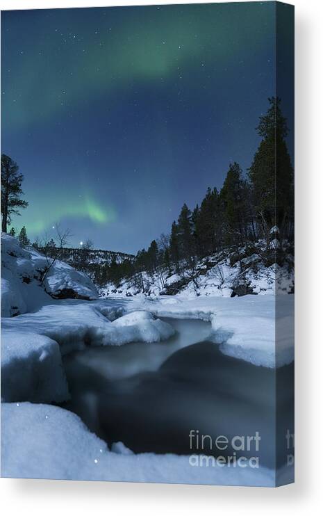 Green Canvas Print featuring the photograph Moonlight And Aurora Over Tennevik by Arild Heitmann