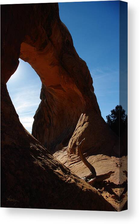 Landscape Canvas Print featuring the photograph Morning Light by Vicki Pelham