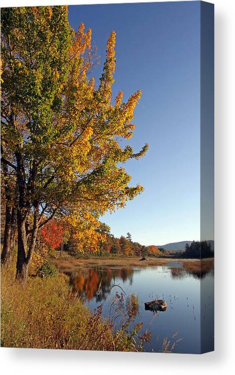 Acadia Canvas Print featuring the photograph New Mills Meadow Pond by Juergen Roth