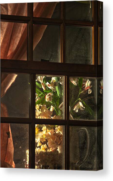 Flower Canvas Print featuring the photograph Night Flowers by Rick Hartigan