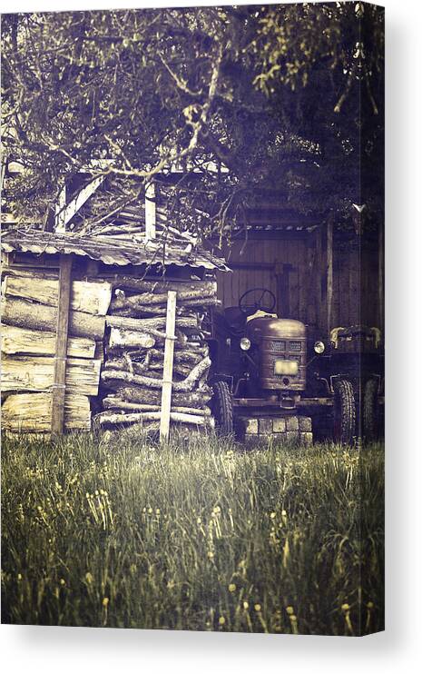 Tree Canvas Print featuring the photograph Old Shed by Joana Kruse