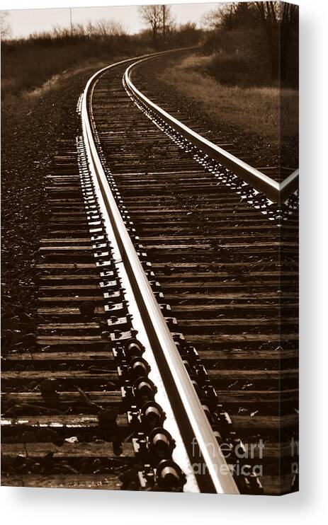 Train Canvas Print featuring the photograph On the Right Track by Anjanette Douglas