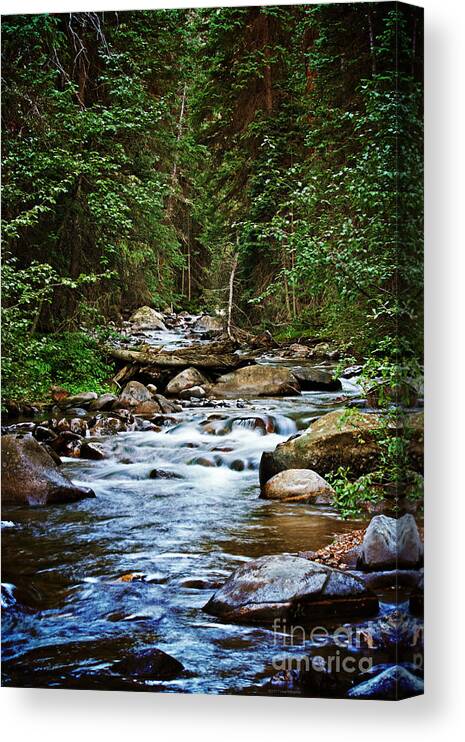 Mountain Stream Canvas Print featuring the photograph Peaceful Mountain River by Lisa Porier