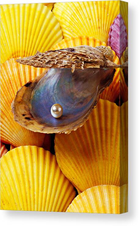 Pearl Canvas Print featuring the photograph Pearl in oyster shell by Garry Gay