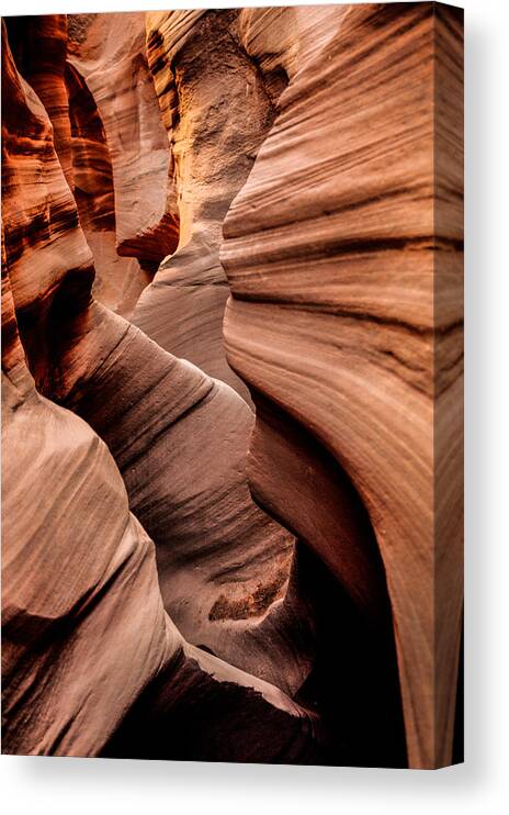 Outdoor Canvas Print featuring the photograph Peek a Boo by Chad Dutson