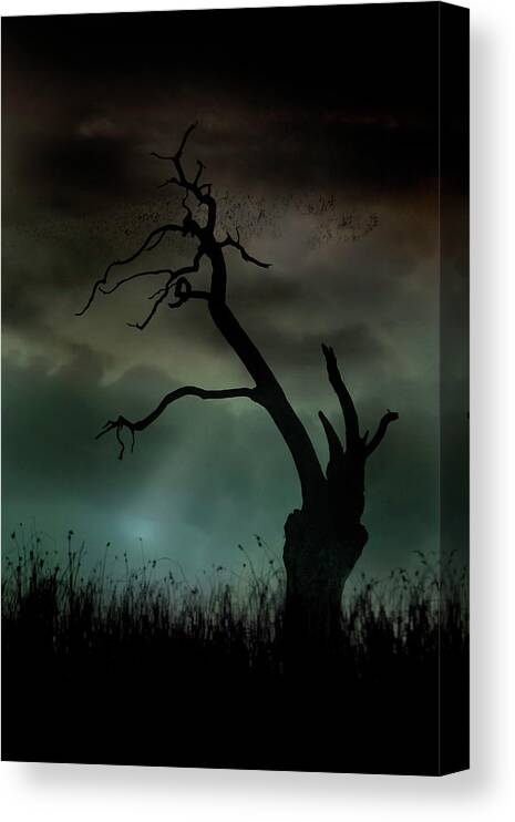 Trees Canvas Print featuring the photograph Petrified by Richard Piper