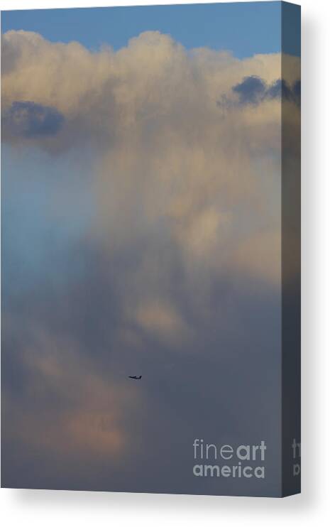 Portrait Canvas Print featuring the photograph Plane Takeoff by Donna L Munro