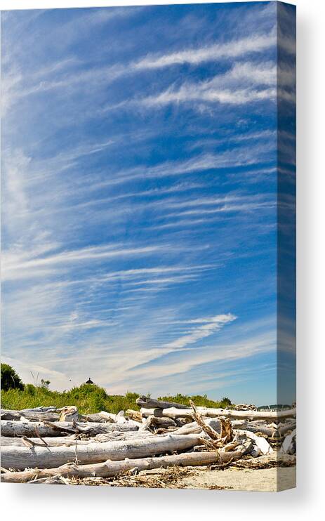 Driftwood Canvas Print featuring the photograph Point No Point with Driftwood by Ronda Broatch