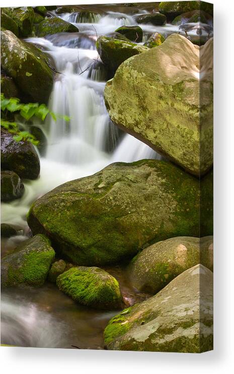 Gatlinburg Canvas Print featuring the photograph Roaring Forks by Cindy Haggerty