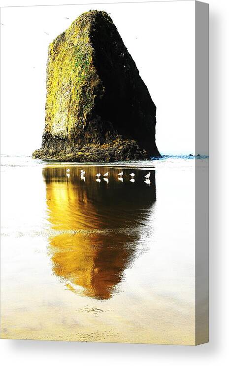 Oregon Coast Canvas Print featuring the photograph Rock at Silver Point Oregon by Steven A Bash