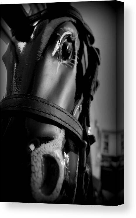 Rocking Horse Canvas Print featuring the photograph Rocking Horse 1 by Richard Reeve