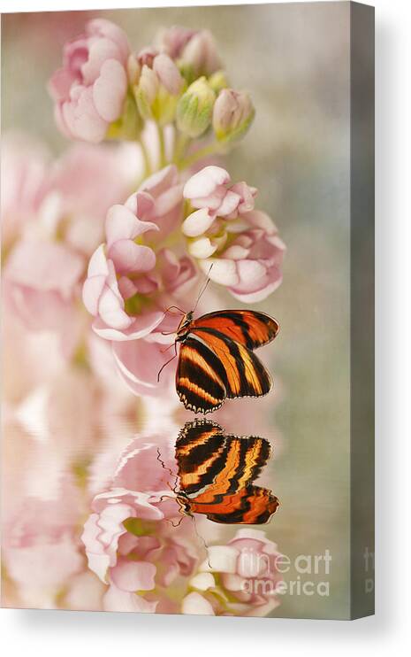 Floral Canvas Print featuring the photograph Share the Love by Susan Gary