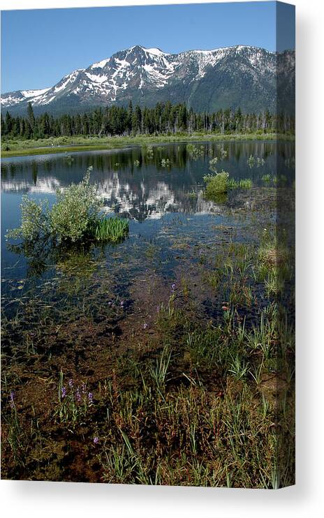 Usa Canvas Print featuring the photograph Shore Reflections of Mt Tallac by LeeAnn McLaneGoetz McLaneGoetzStudioLLCcom