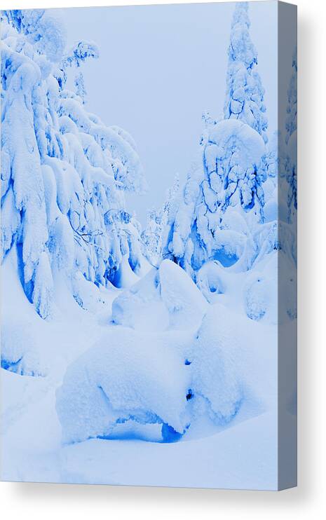 Attraction Canvas Print featuring the photograph Snow-covered To Vallee Des Fantomes by Yves Marcoux