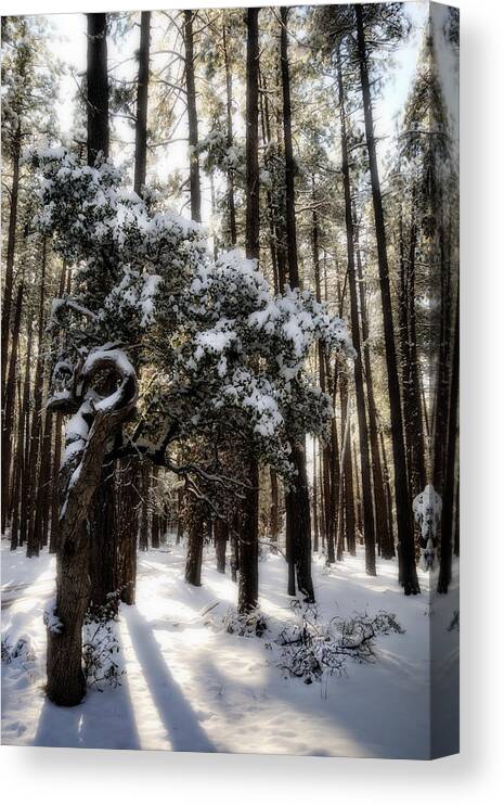 Snow Canvas Print featuring the photograph Snow Day by Saija Lehtonen