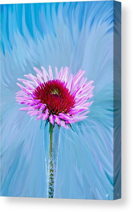 Flowers Canvas Print featuring the photograph Spin Me by Linda Sannuti