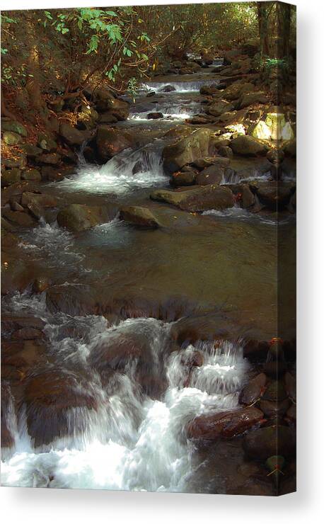 Rocks Canvas Print featuring the photograph Stepping Stones of the Mountains by DigiArt Diaries by Vicky B Fuller