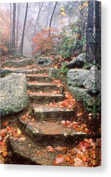 Steps Canvas Print featuring the photograph Steps Cloudland Canyon by Tom and Pat Cory