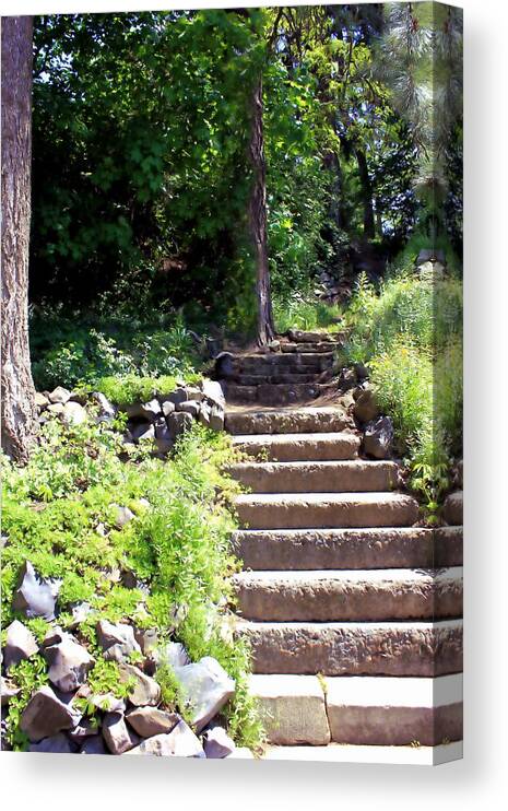Steps Canvas Print featuring the photograph Stone Steps by Myrna Migala