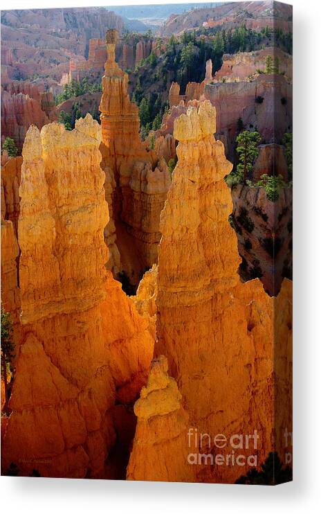 Photography Canvas Print featuring the photograph Sunrise at Bryce by Vicki Pelham