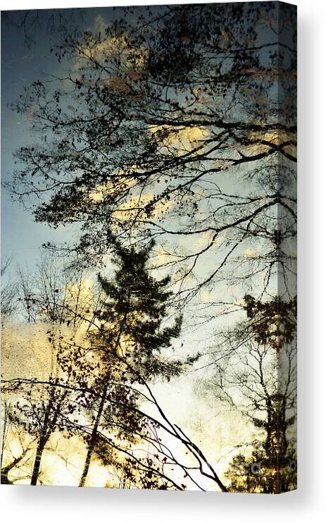 Thaw Canvas Print featuring the photograph Thaw by Dean Harte