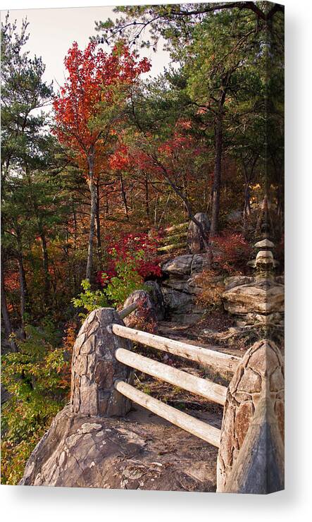 Bluff Canvas Print featuring the photograph The Bluff by David Troxel