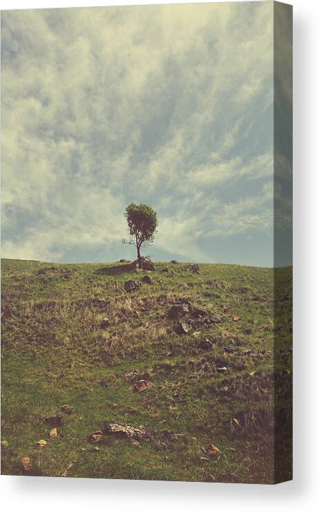 Tree Canvas Print featuring the photograph The Little Bit of My Heart That's Left by Laurie Search