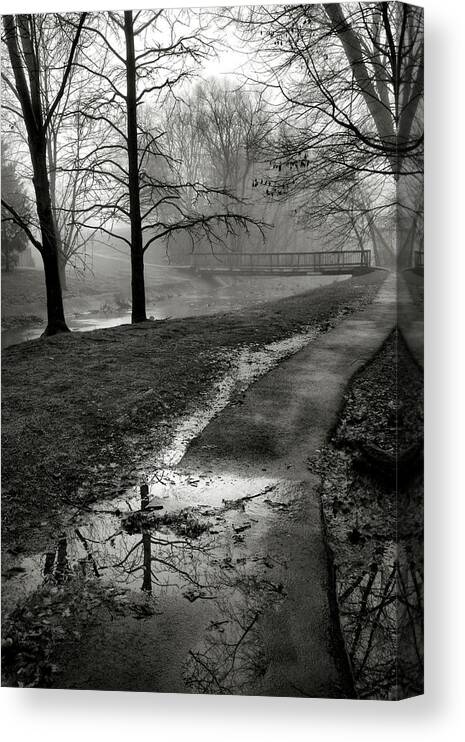 Path Canvas Print featuring the photograph The Way There by Steven Ainsworth