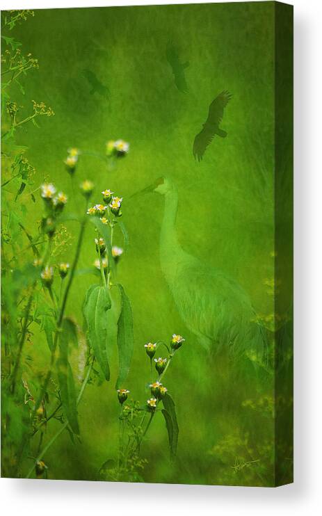 Photography Canvas Print featuring the photograph Think Green by Vicki Pelham