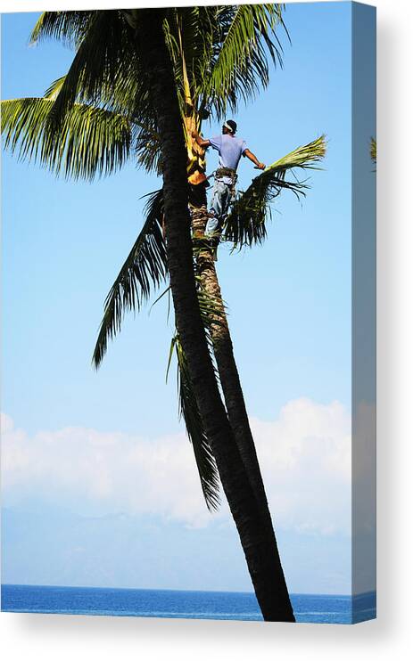 Thrill Canvas Print featuring the photograph Thrilling Occupations by Marilyn Hunt