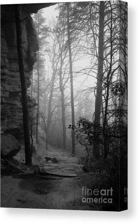 Woods Canvas Print featuring the photograph Through these Woods a Path was Made by Laurinda Bowling