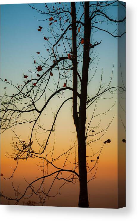 Landscape Canvas Print featuring the photograph To The Morning by Joye Ardyn Durham