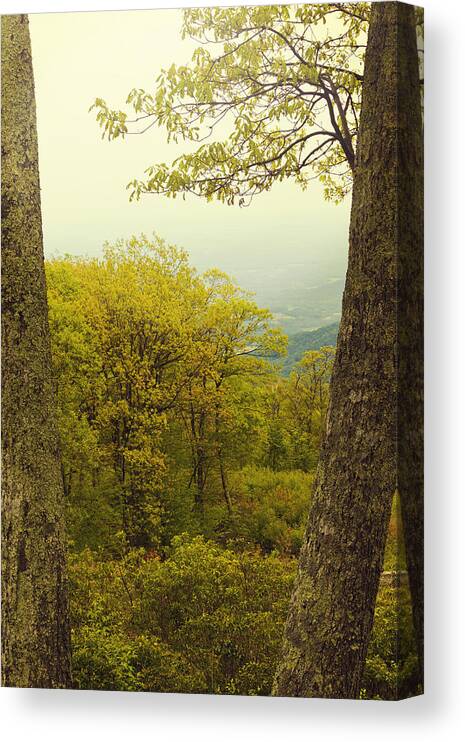 Skyline Drive Canvas Print featuring the photograph Top of the World by Shelley Bain