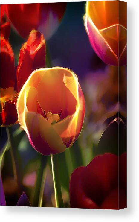 Flowers Canvas Print featuring the photograph Tulips Through Rose Colored Glass by Bill and Linda Tiepelman