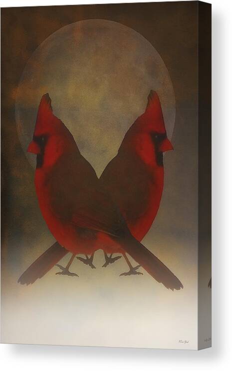 Birds Canvas Print featuring the photograph Twins by Tom York Images
