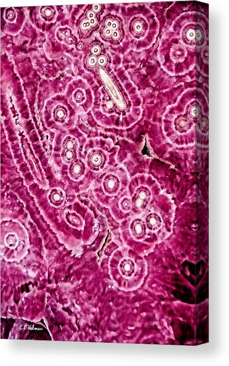 Mineral Canvas Print featuring the photograph Universe In Pink by Christopher Holmes