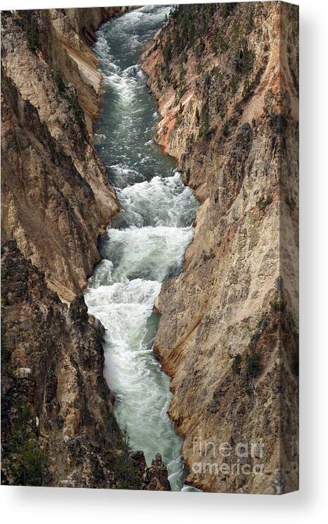 Lower Falls Canvas Print featuring the photograph Water and Rock by Living Color Photography Lorraine Lynch