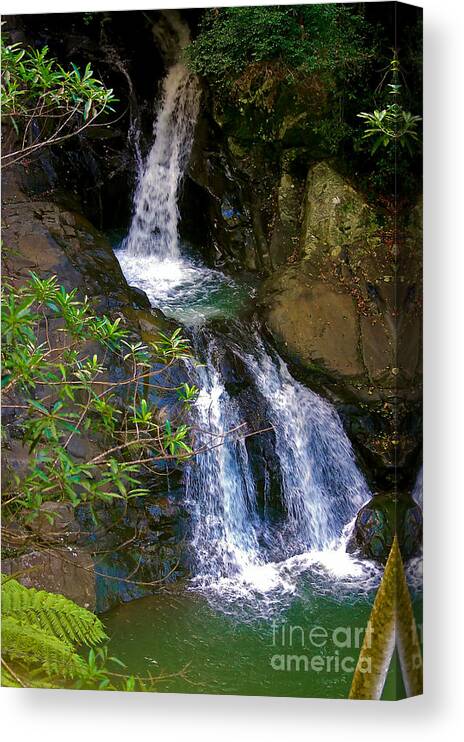 Queensland Canvas Print featuring the photograph Waterfall in the Currumbin Valley by Blair Stuart