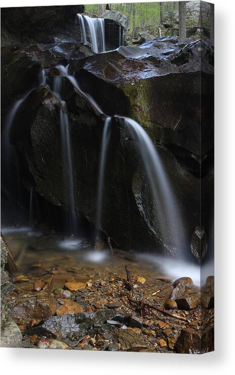 Water Canvas Print featuring the photograph Waterfall On Emory Gap Branch by Daniel Reed