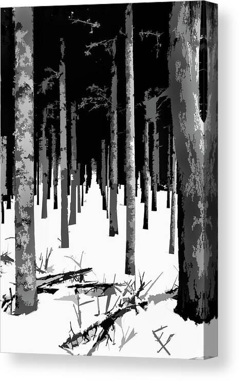 Winter Canvas Print featuring the photograph Winter Wooded Path by Burney Lieberman