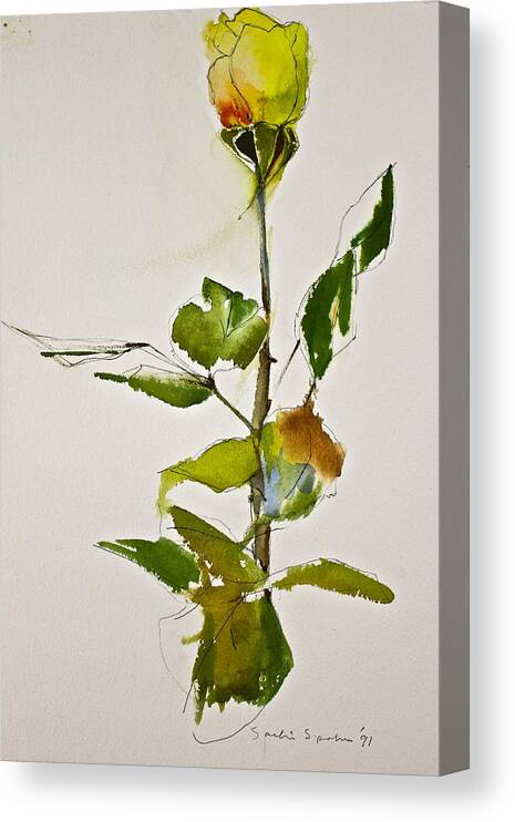 Watercolor Canvas Print featuring the painting Yellow Rose-Posthumously presented paintings of Sachi Spohn by Cliff Spohn